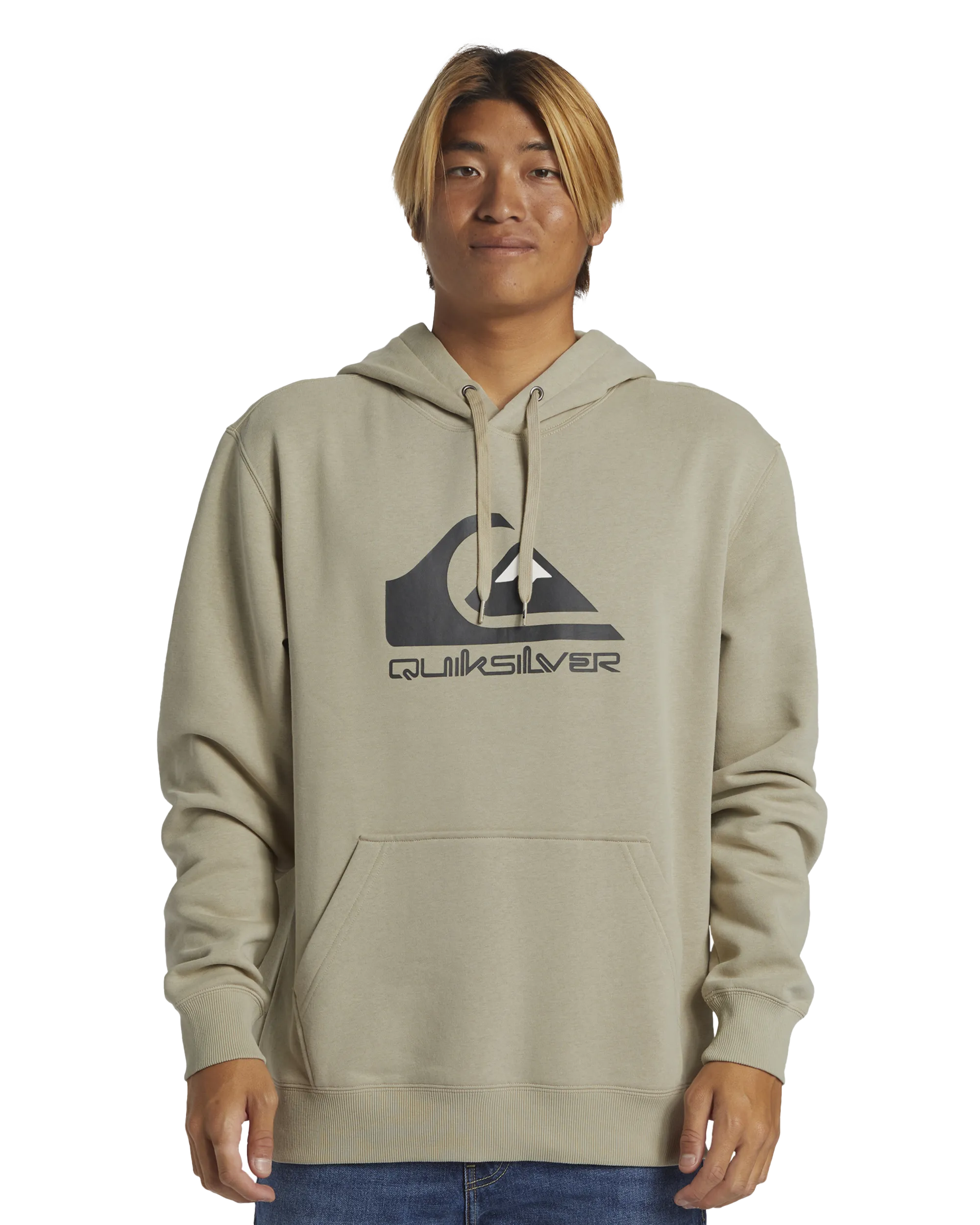 Big Logo Hoodie in Plaza Taupe