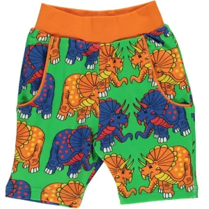 Dinosaurs Shorts - Green - 1 Left Size 9-10 years